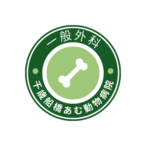 一般外科