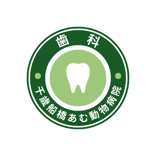 歯科