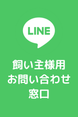 患者様用 診察予約お問合せ