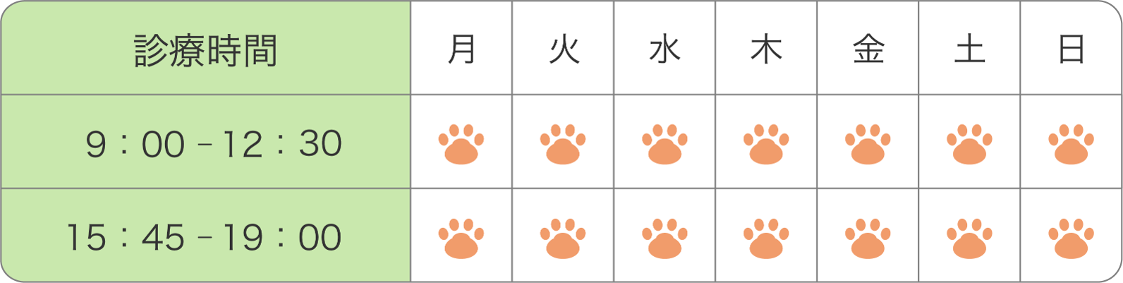 千歳船橋あむ動物病院の診療スケジュール